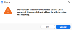 Screen grab of confirmation that you want to remove guest from meeting.